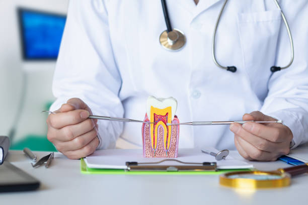 Best 24-Hour Emergency Dental Care in Riva, MD
